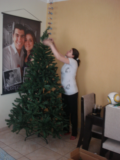 Montando a árvore de Natal (2011)