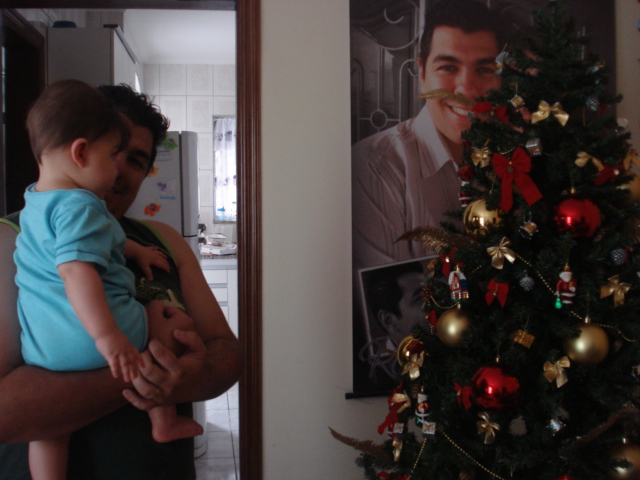 Montando a árvore de Natal (2011)